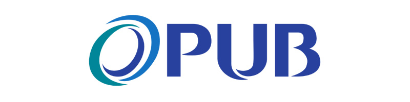 Tunnel Link Singapore - PUB